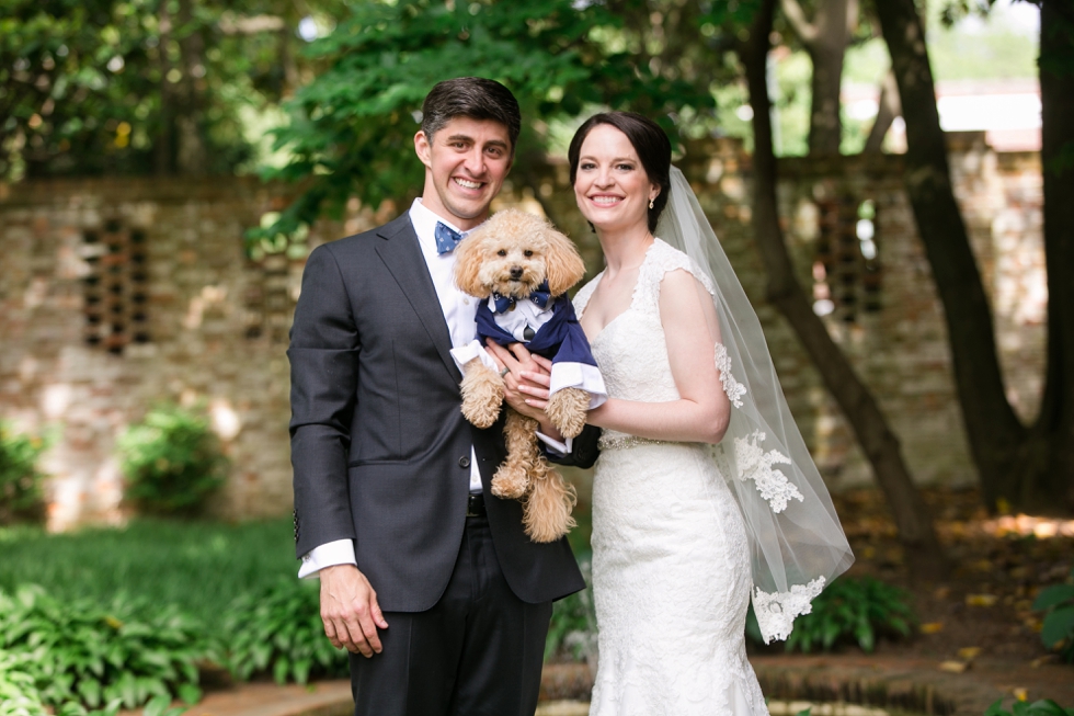 Tidewater Inn Wedding in Easton Maryland - First Look Poodle Puppy