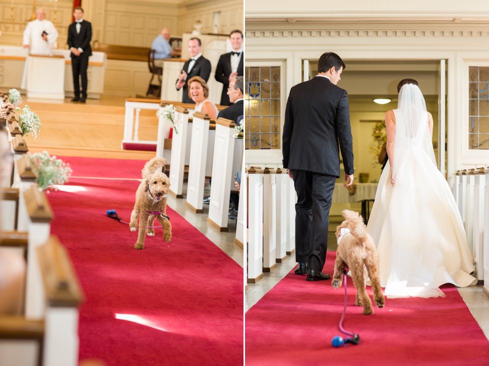 Pet Friendly Wedding Venue - Tidewater Inn Wedding 