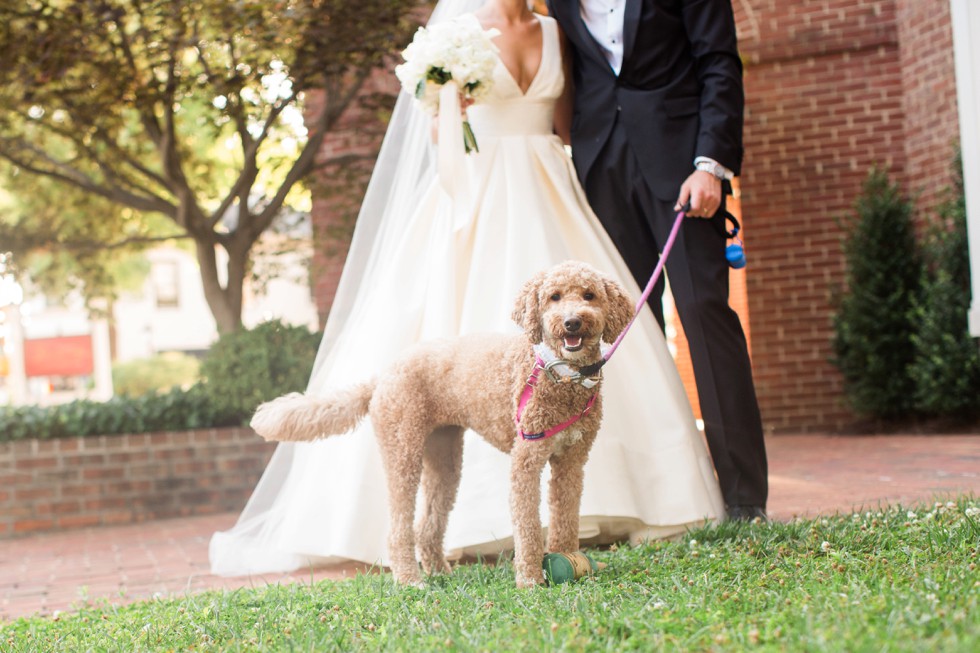 Pet Friendly Wedding Venue - Tidewater Inn Wedding 