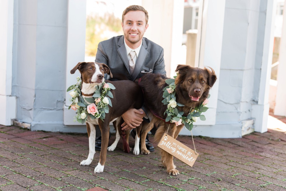 Baltimore Museum of Industry wedding dog party with floral collars made by Scentsational Florals