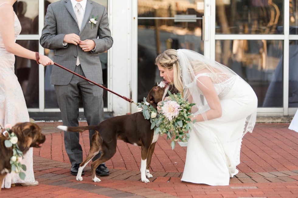 Baltimore Museum of Industry wedding dog party with floral collars made by Scentsational Florals