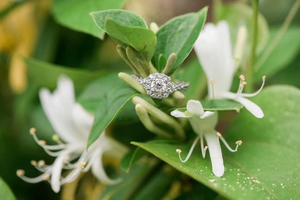 Halo diamond engagement ring on honeysuckle