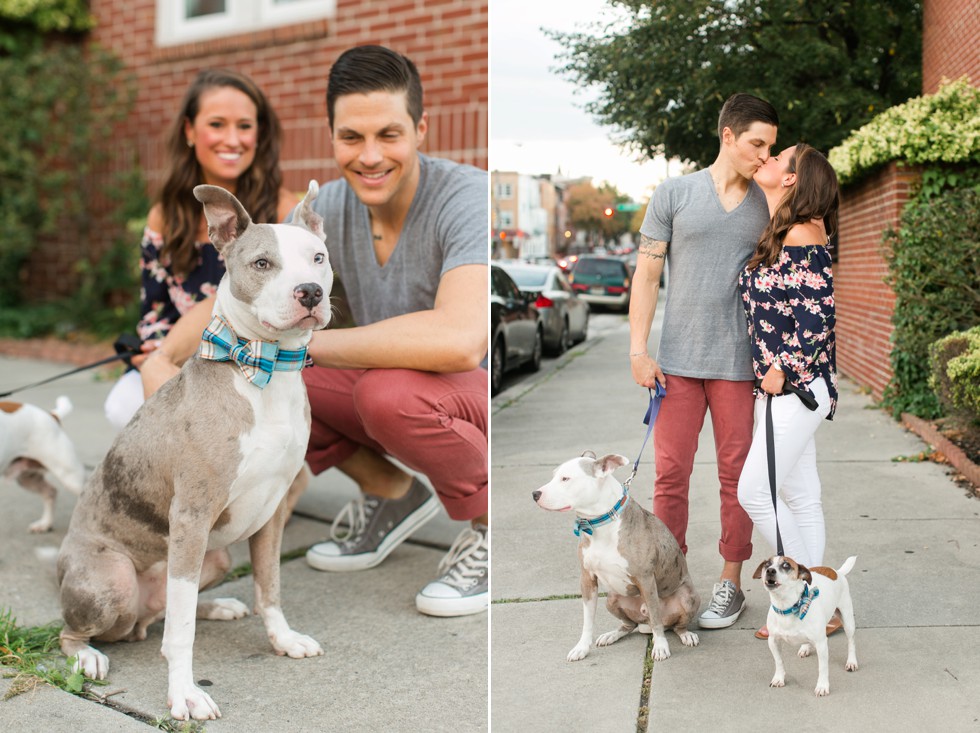 Dog engagement photos in Baltimore