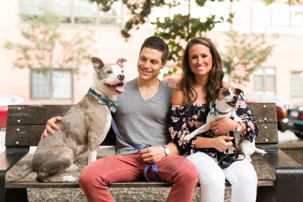 Dog engagement photos in Baltimore