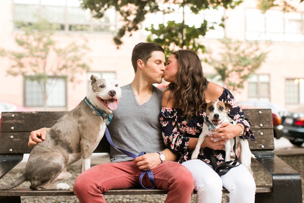 Dog engagement photos in Baltimore