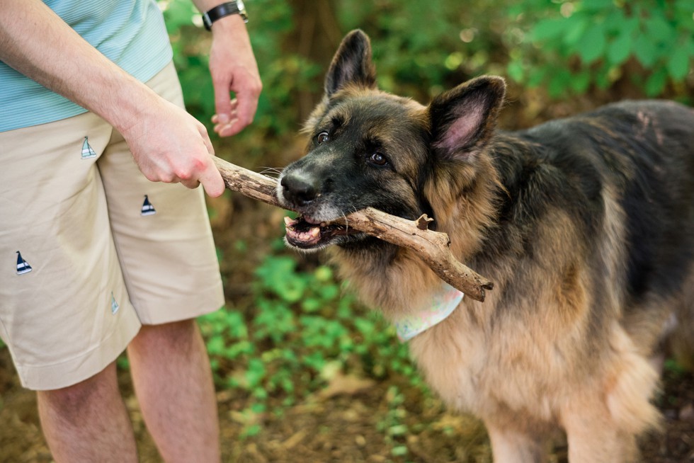 Engagement Photos in Annapolis with Family Dog