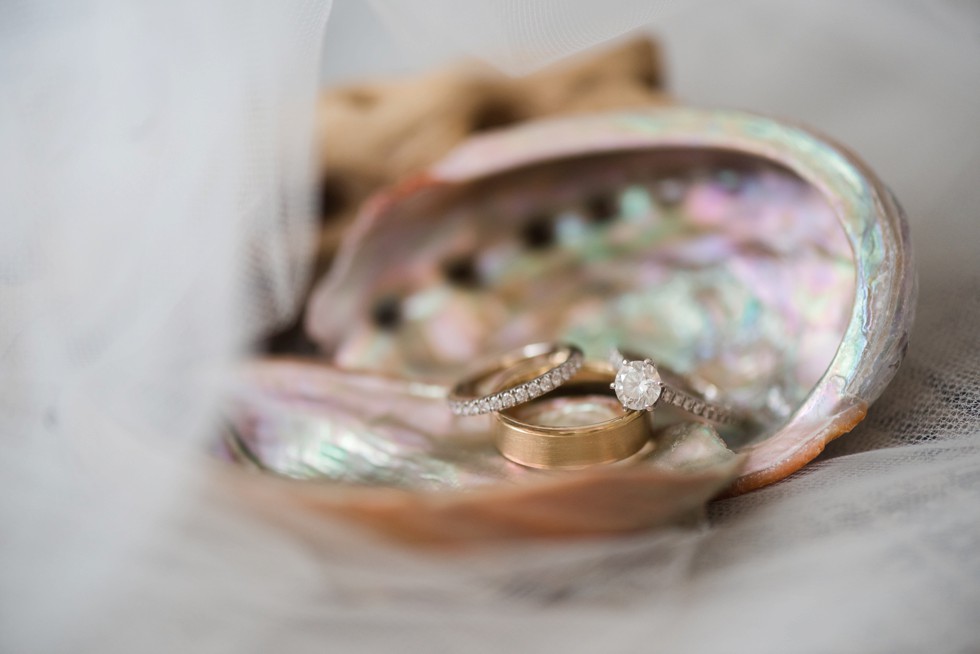 Robin's Brothers Engagement ring on shell