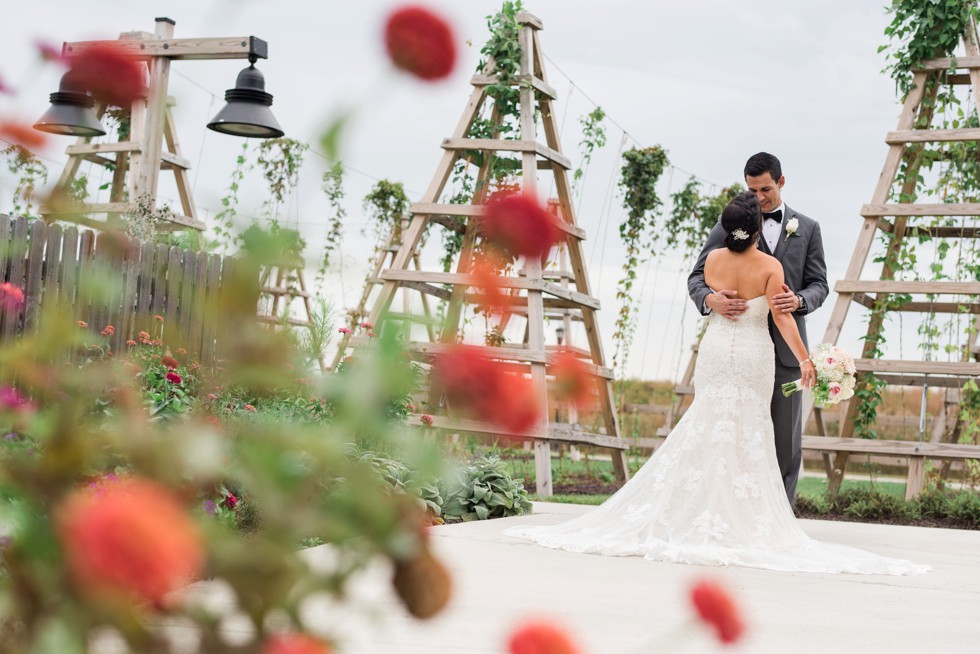 Bride and groom photographed through coral flowers in the garden