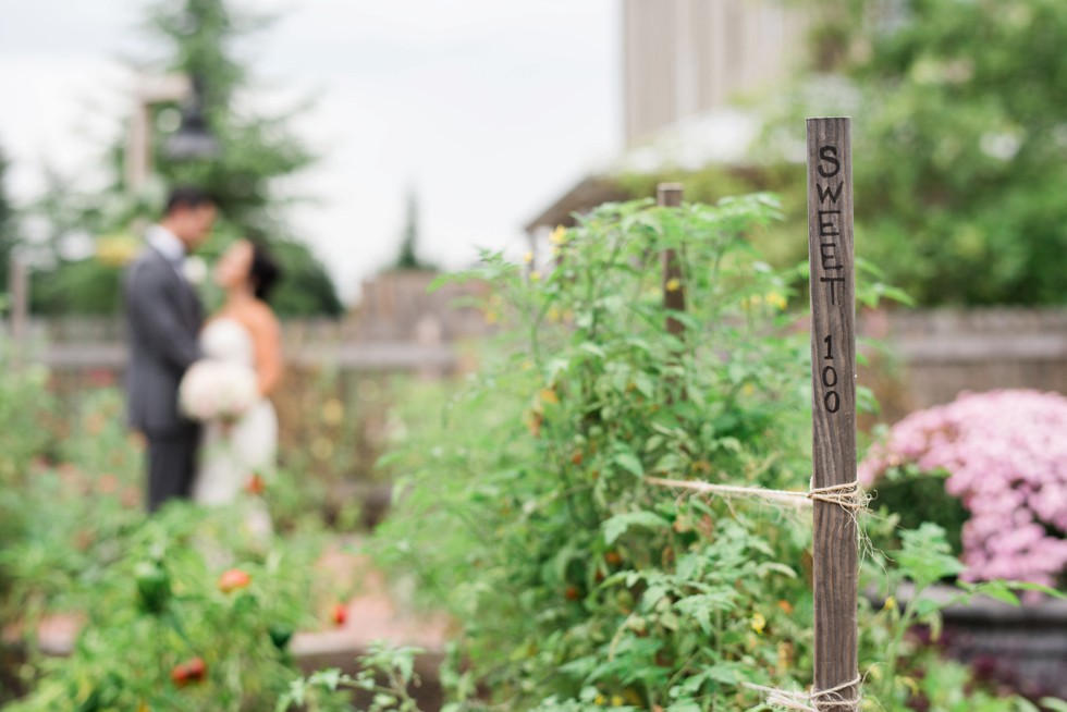 First look in the gardens behind the Inn at the Chesapeake Bay Beach Club