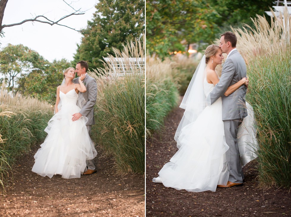 Bride and Groom portraits in the tall grasses at the Chesapeake Bay Beach Club