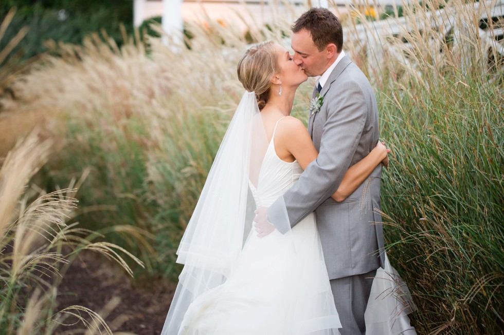 Bride and Groom portraits in the tall grasses at the Chesapeake Bay Beach Club