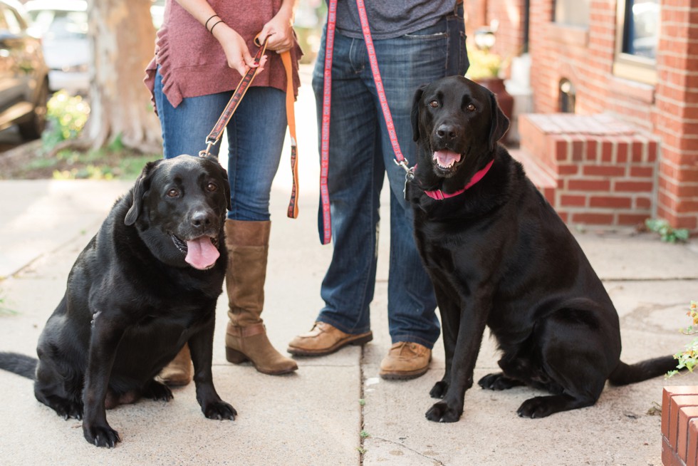 Patterson Park Pagoda Engagement photos with two black labs