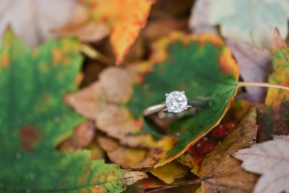 solitaire diamond ring 4 prong on fall leaves