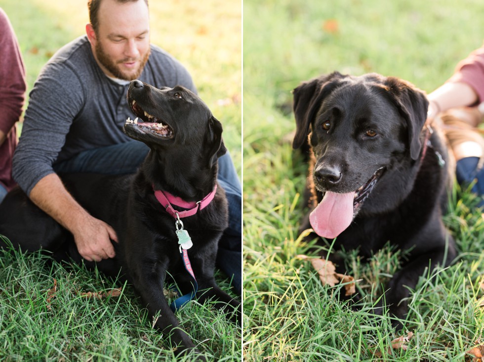 Black labs in engagement photos at Patterson Park near Fells Point