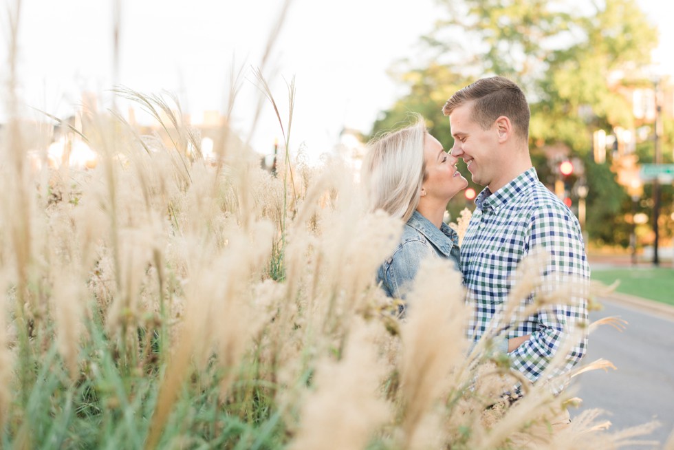 engagement photos at sunset in the tall grasses