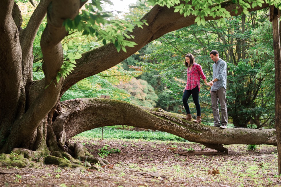 climbing trees in engagement session