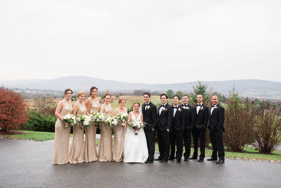 Winter mountain wedding gold sequin 