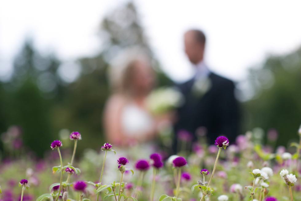 purple flowers