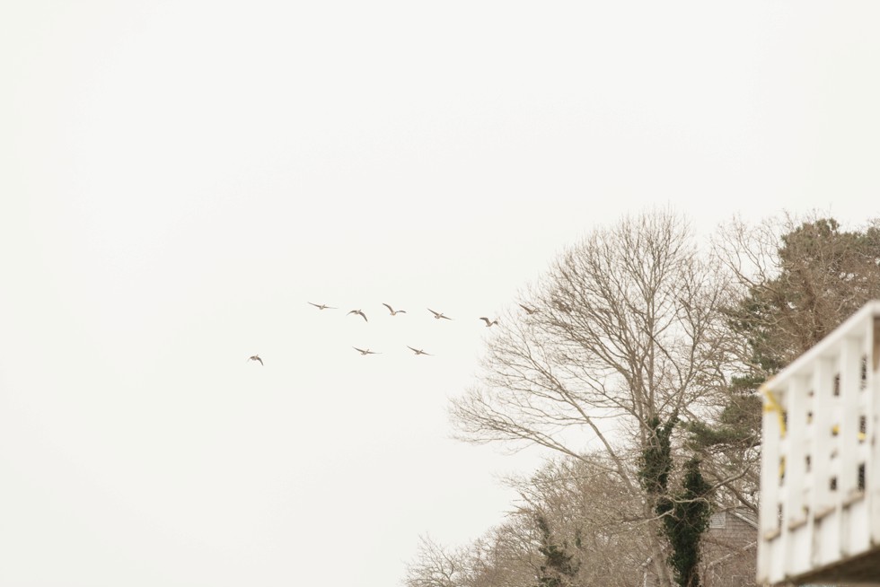 Waquoit Bay Cape Cod winter wedding on icy beach