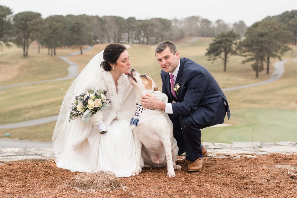 Best dog Cape Cod Wedding