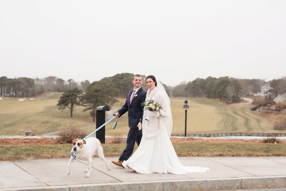 Best dog Cape Cod Wedding