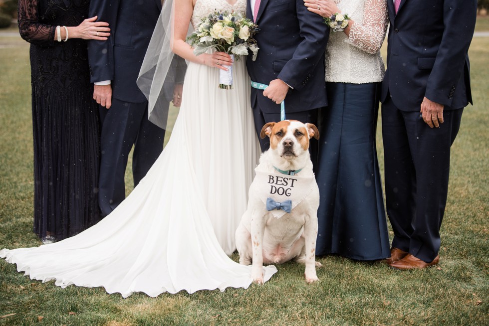 Cape cod family wedding portrait and dog