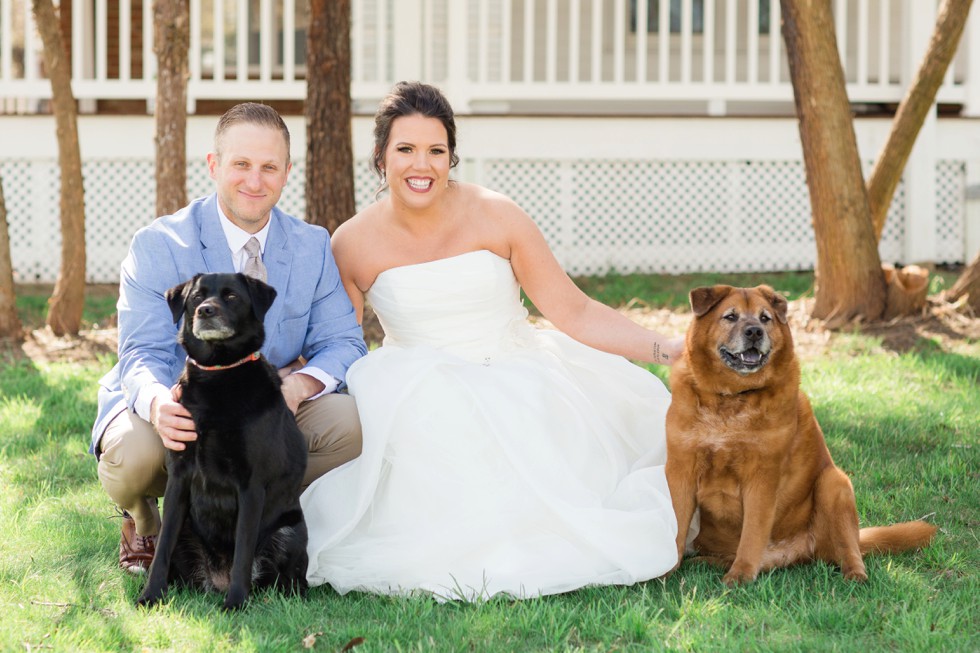 Celebrations at the Bay wedding with dogs