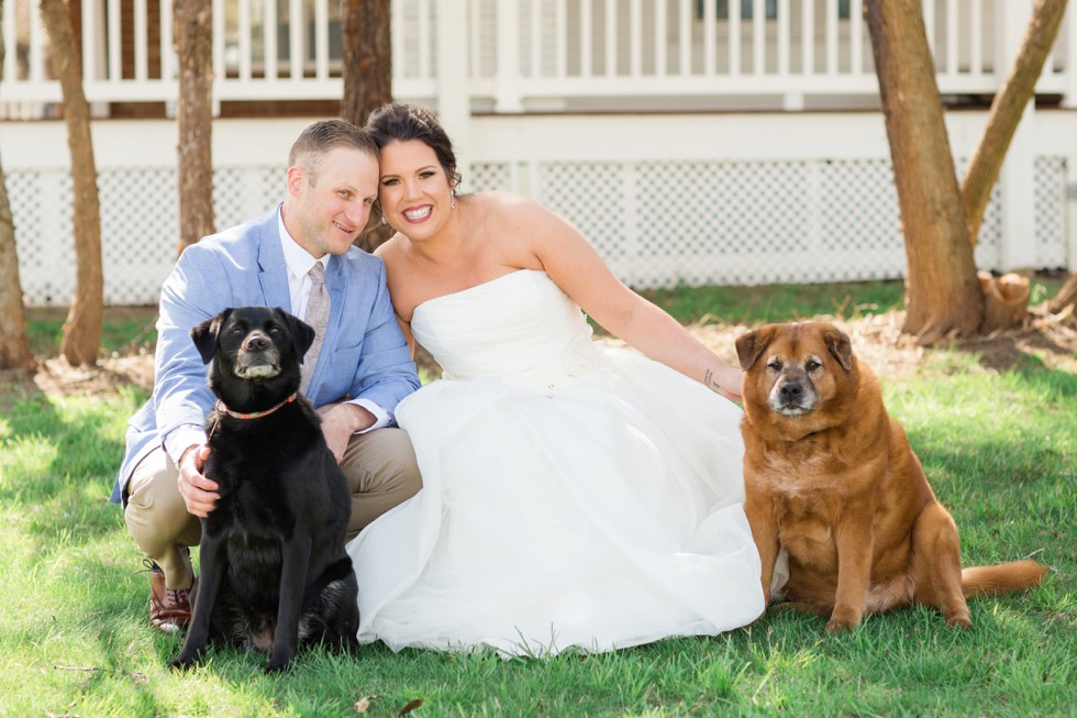 Celebrations at the Bay wedding with dogs