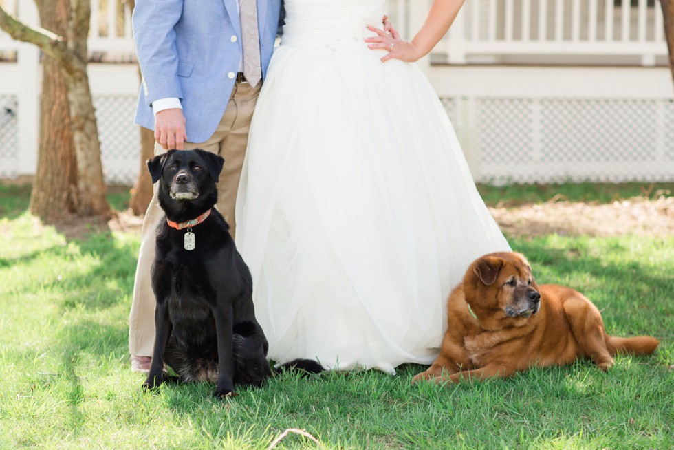 Chesapeake Bay Waterfront Wedding | Katie & Craig - Carly Fuller ...