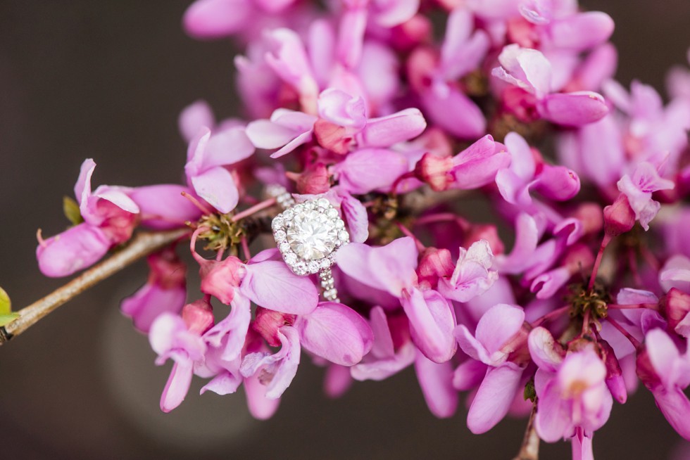 Baltimore engagement rings