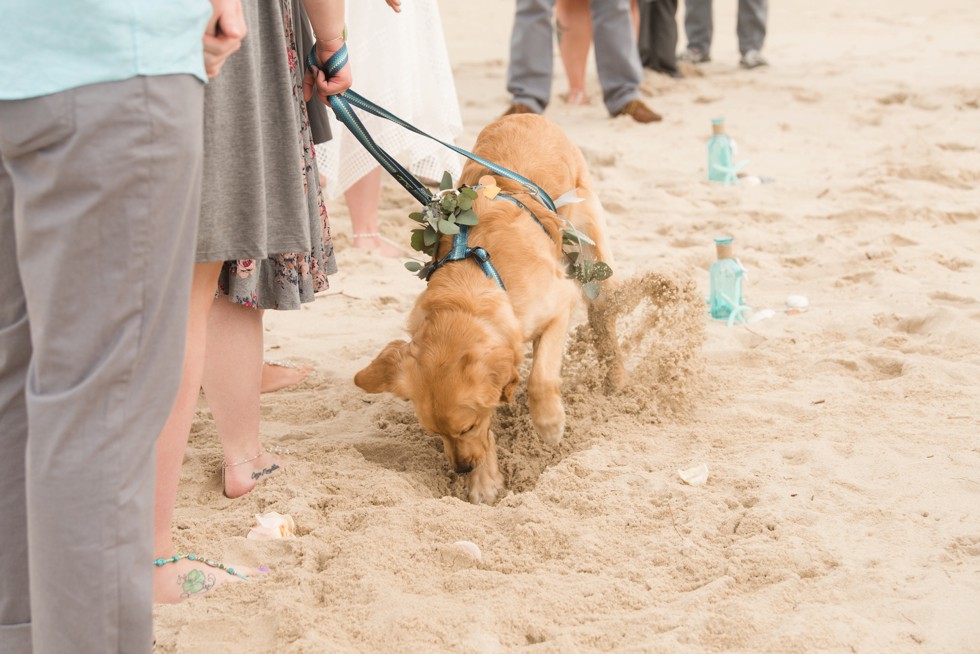 Delaware Brides beach wedding ceremony