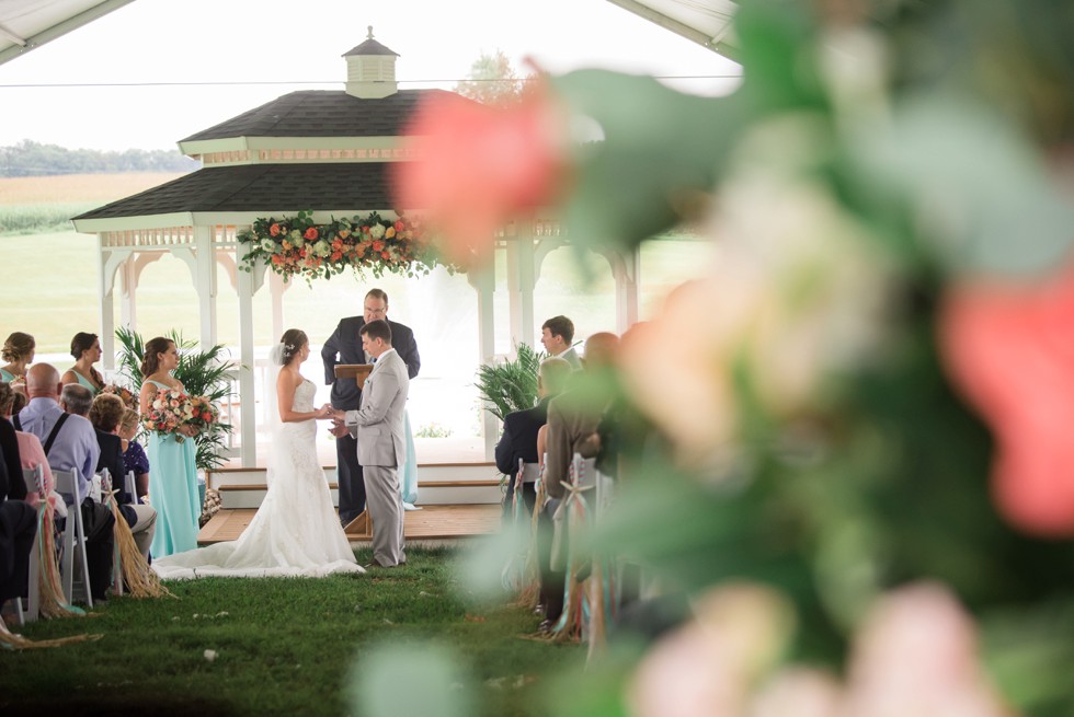  Ann's Garden wedding ceremony