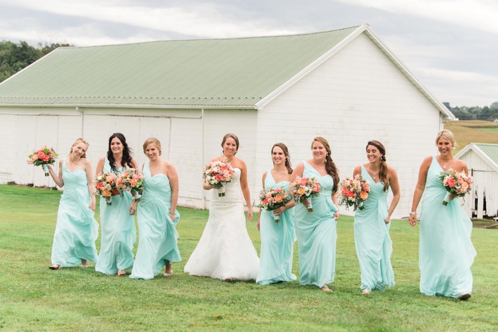 Maryland Farm wedding party at Friendly Farm