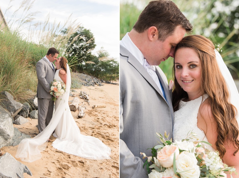 Wicked Willow flowers on the beach