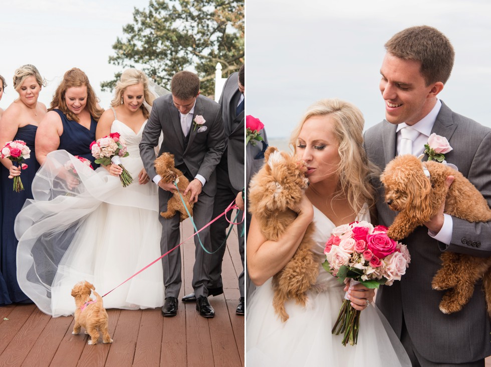 Celebrations at the Bay waterfront wedding party with dogs