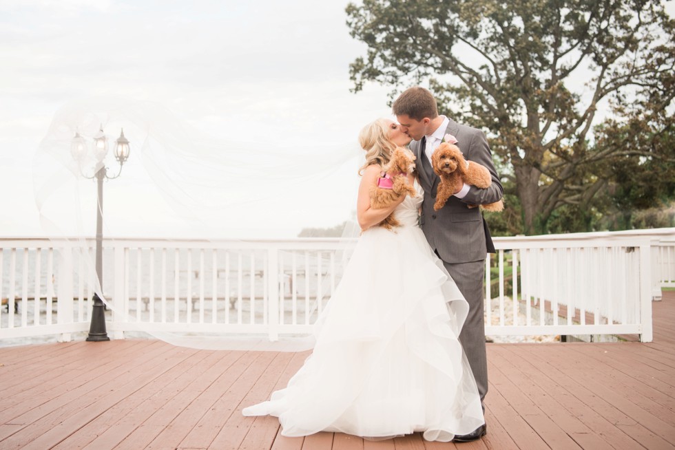 Maryland waterfront wedding couple with puppies