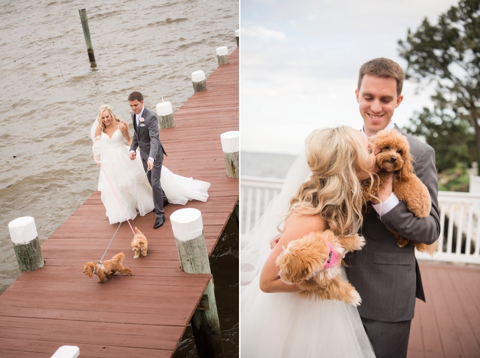 Maryland waterfront wedding couple with puppies