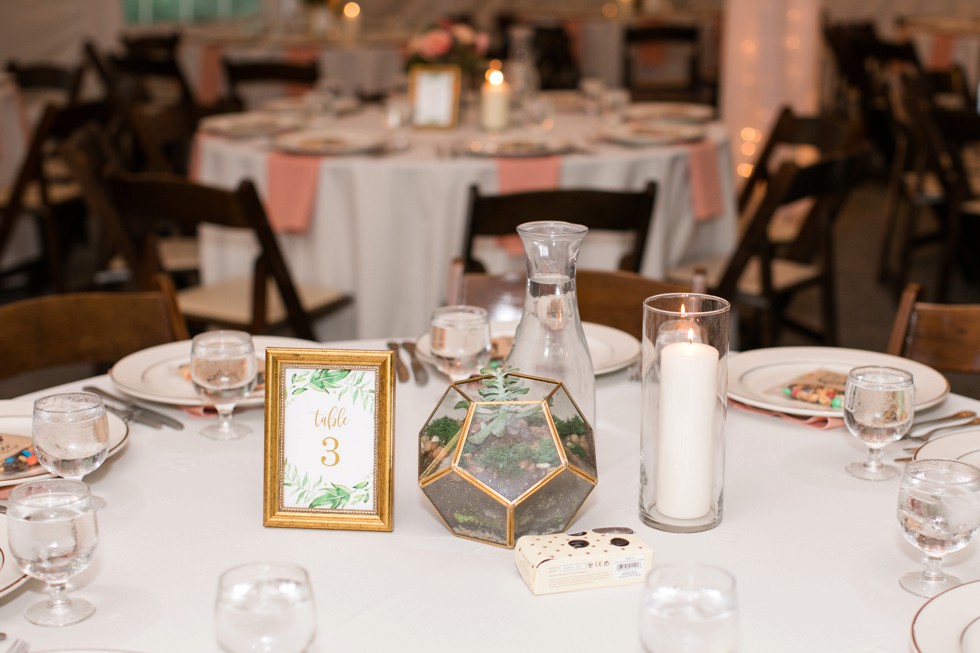 Evergreen Horse stable barn wedding reception