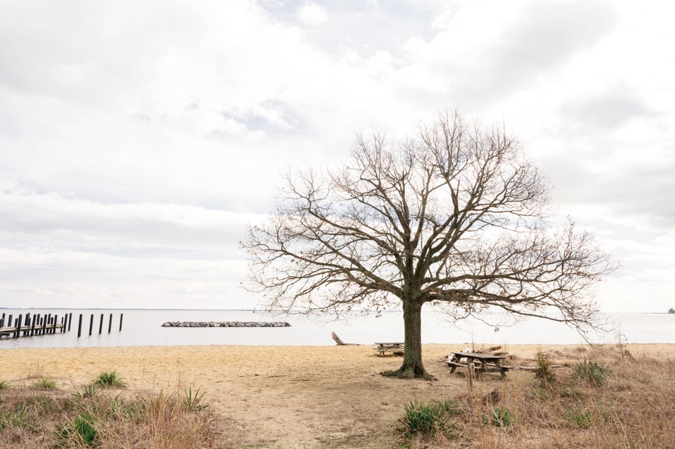 Chesapeake Bay Foundation wedding venue