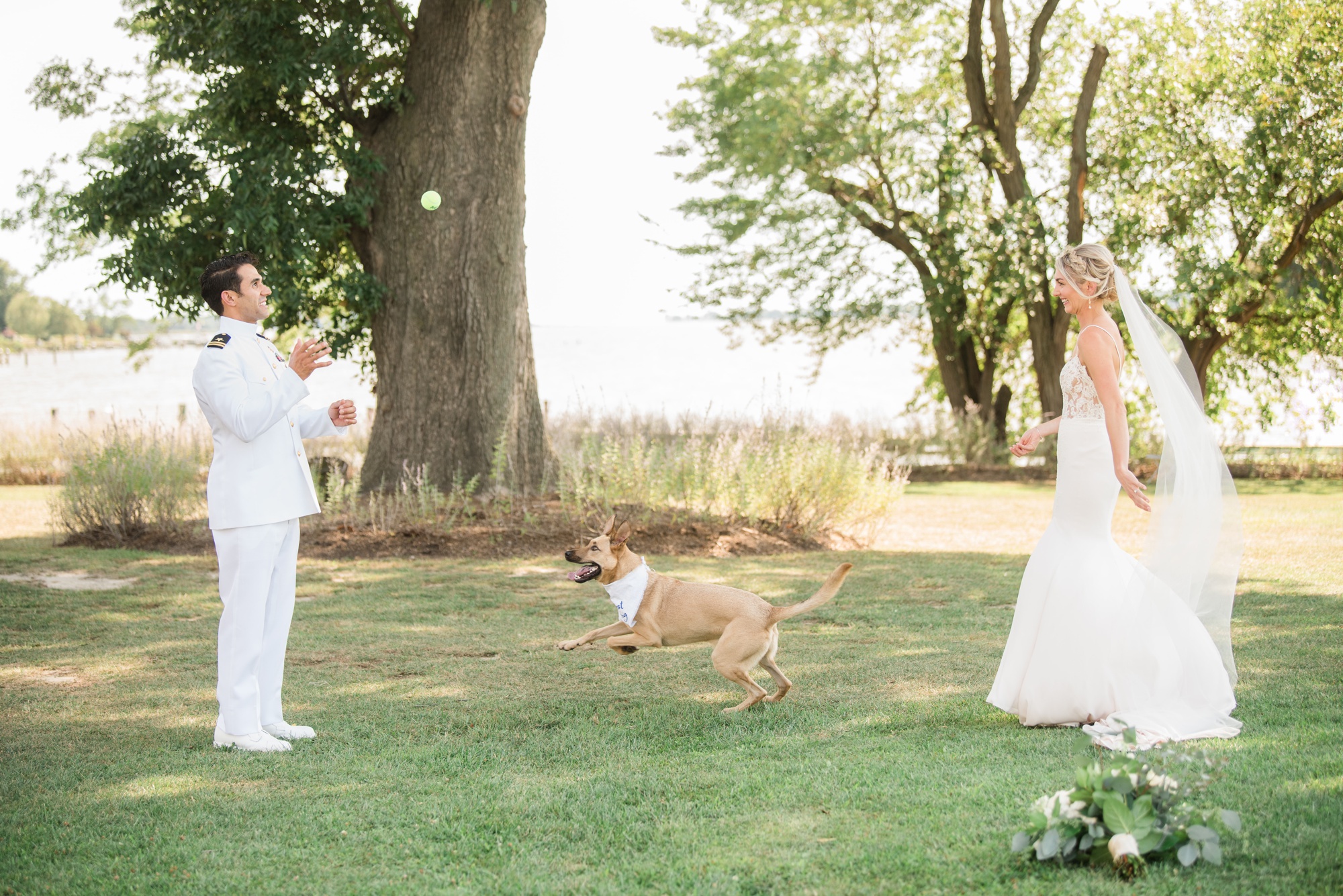 Furever & Fur Always wedding pup care