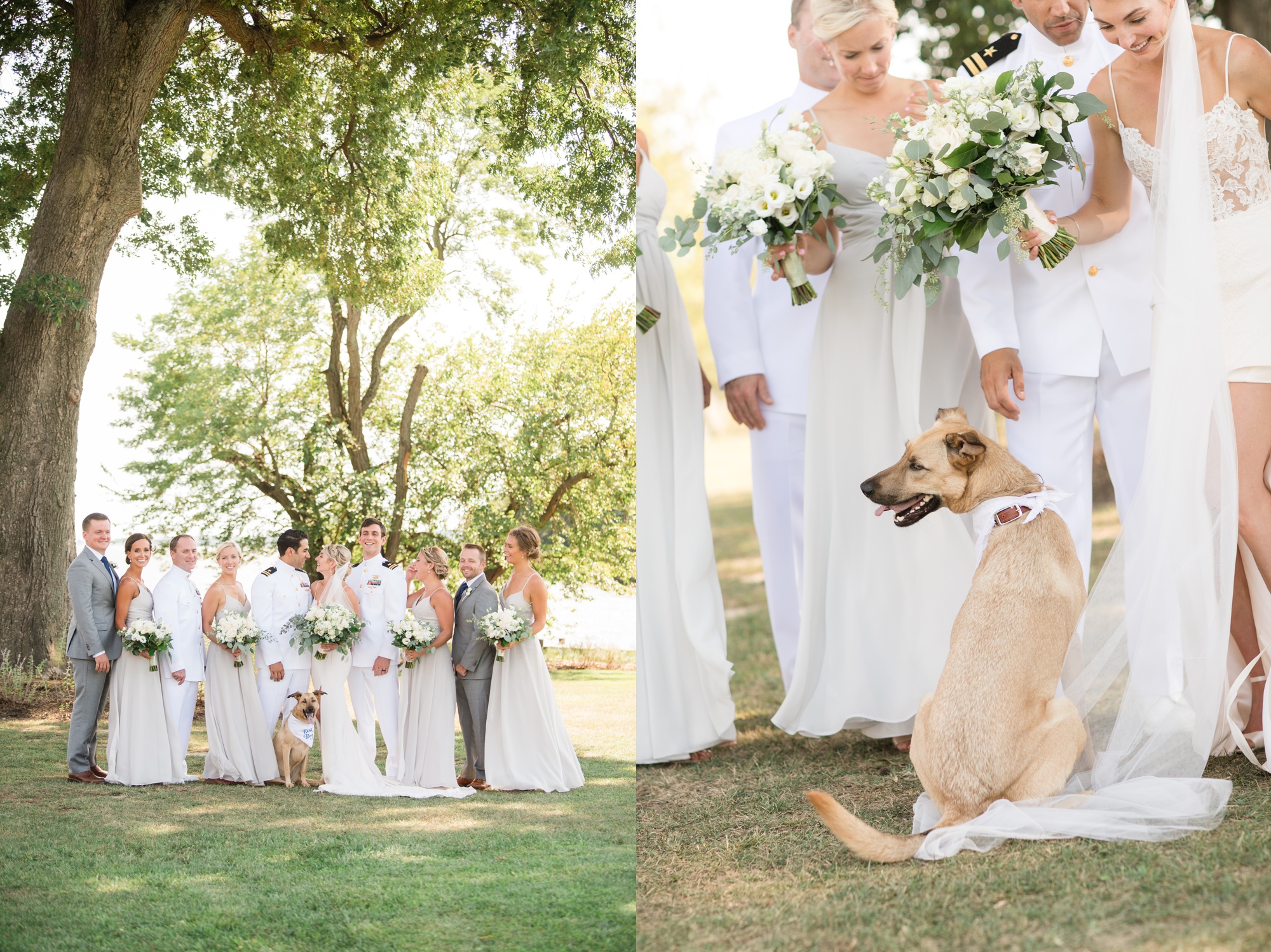 Cascia Vineyards wedding party and pup