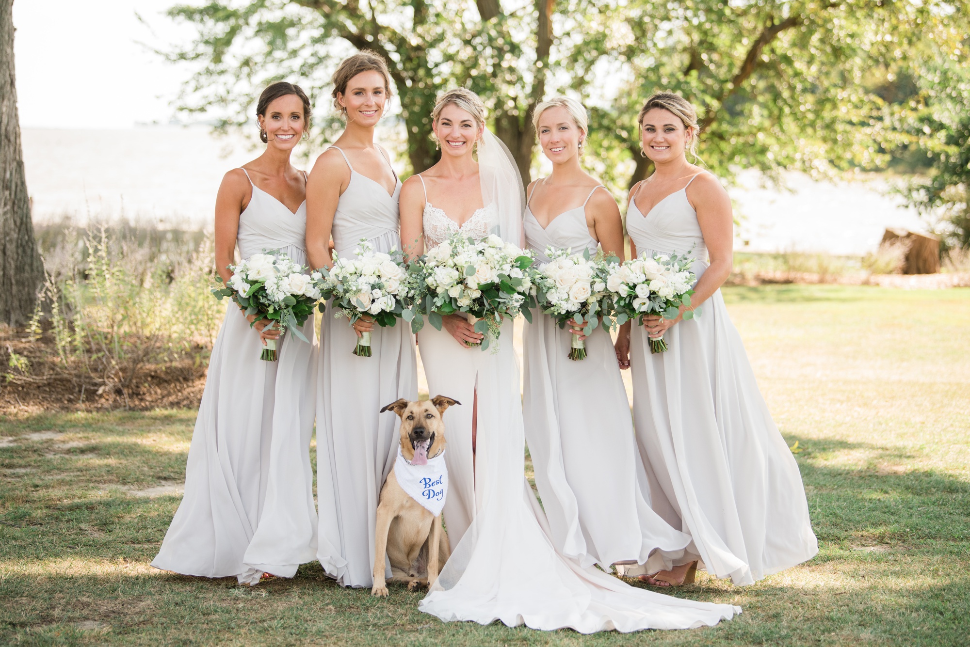 Eastern Shore vineyard bridesmaids and pup