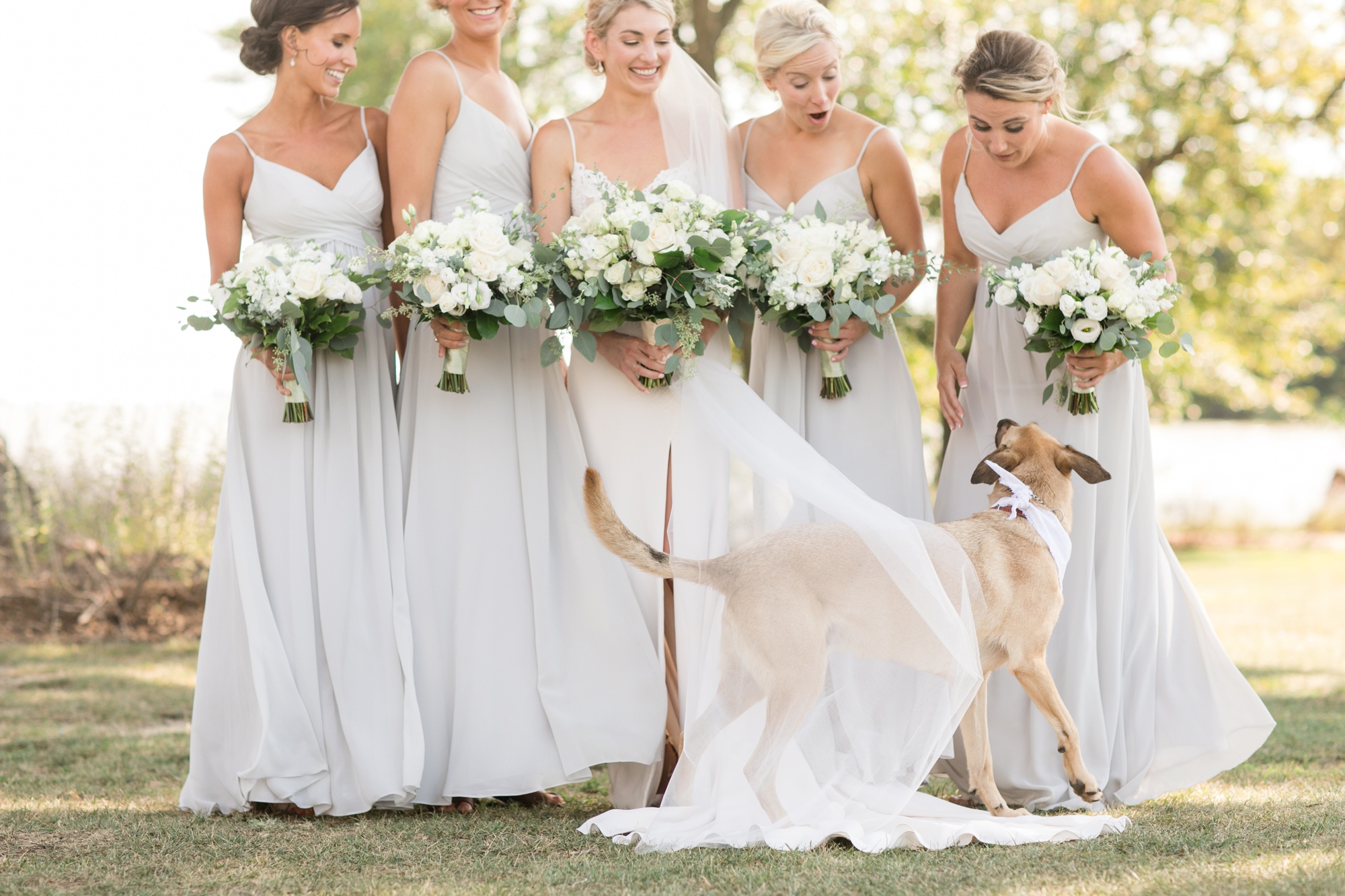 Cascia Vineyards wedding party and pup