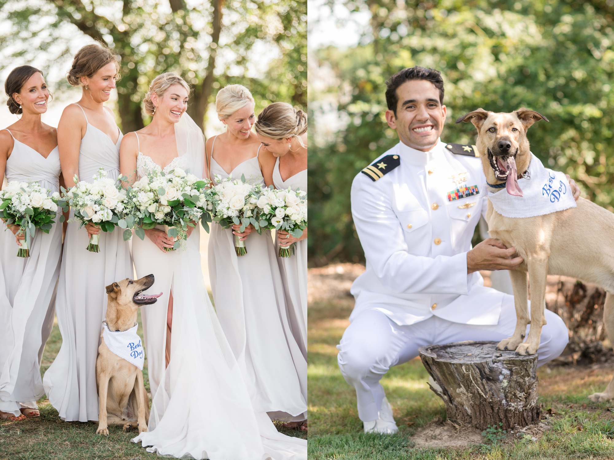 Cascia Vineyards wedding party and pup