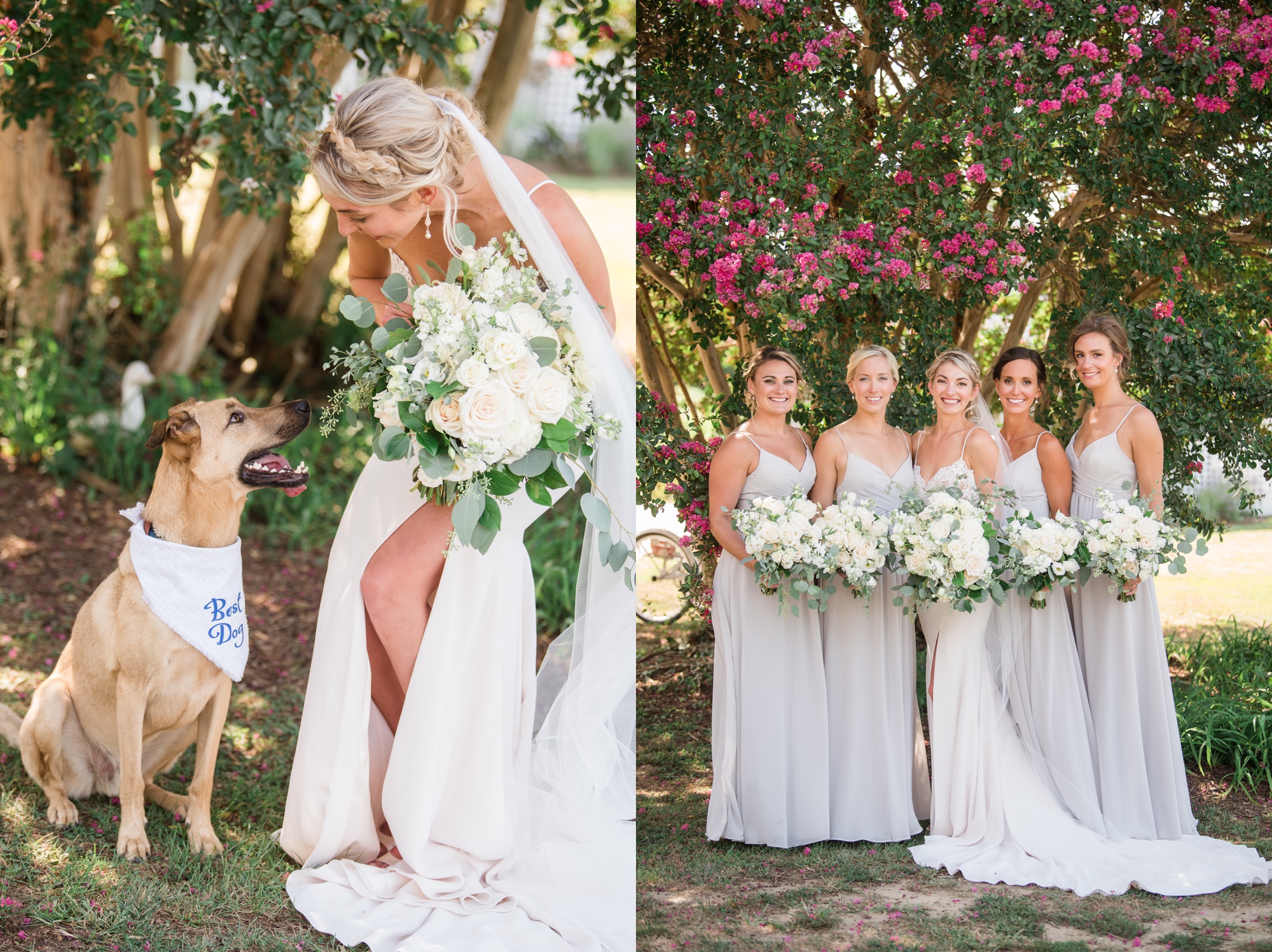 bride and her pup