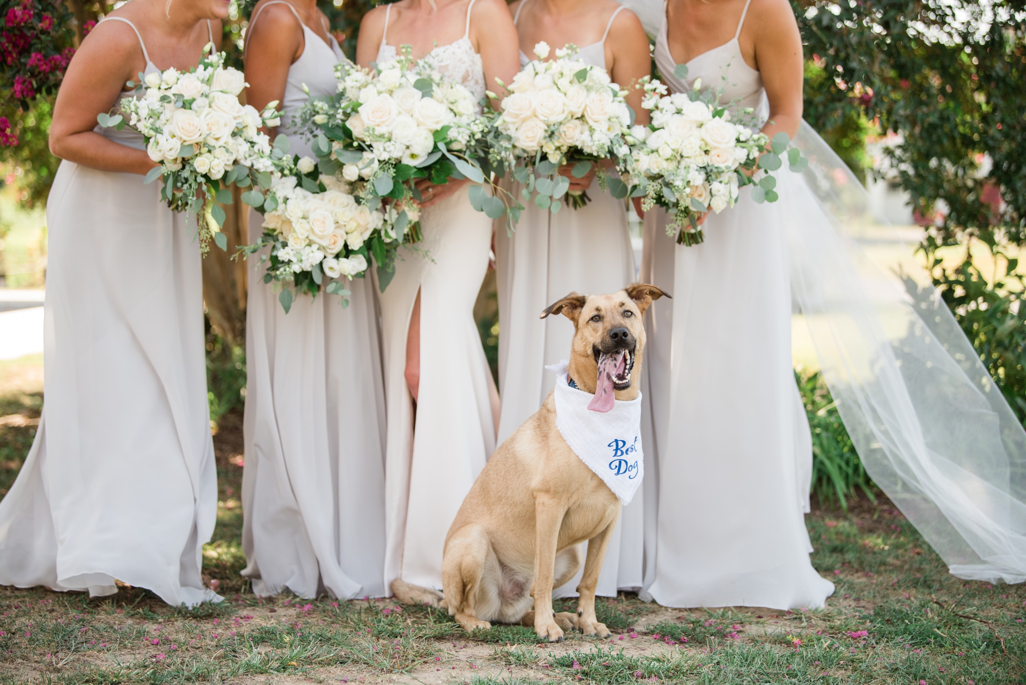 bride and her pup