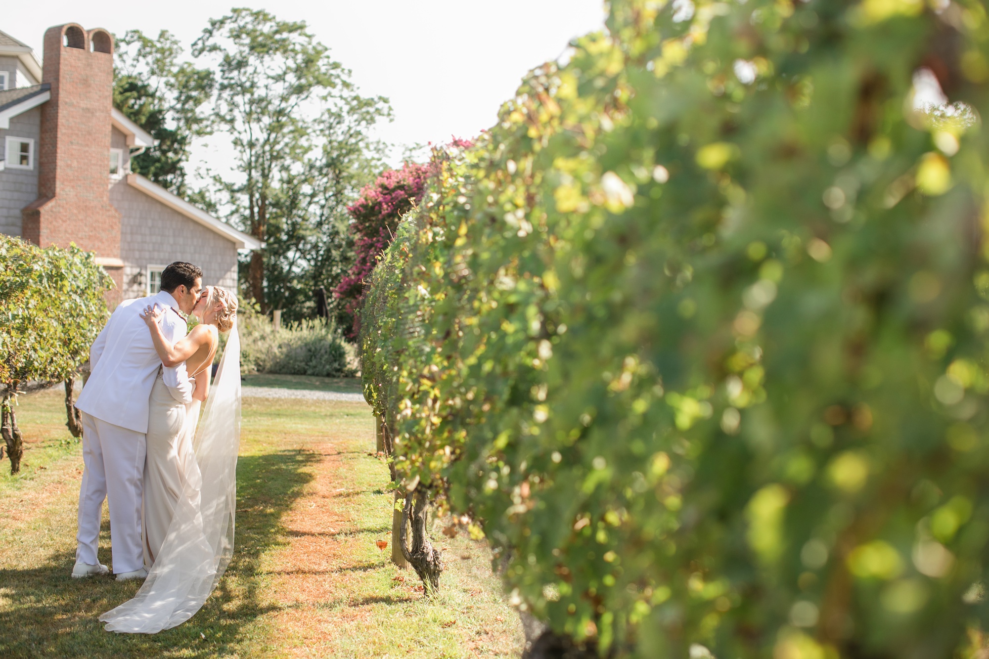 Eastern Shore vineyard wedding couple