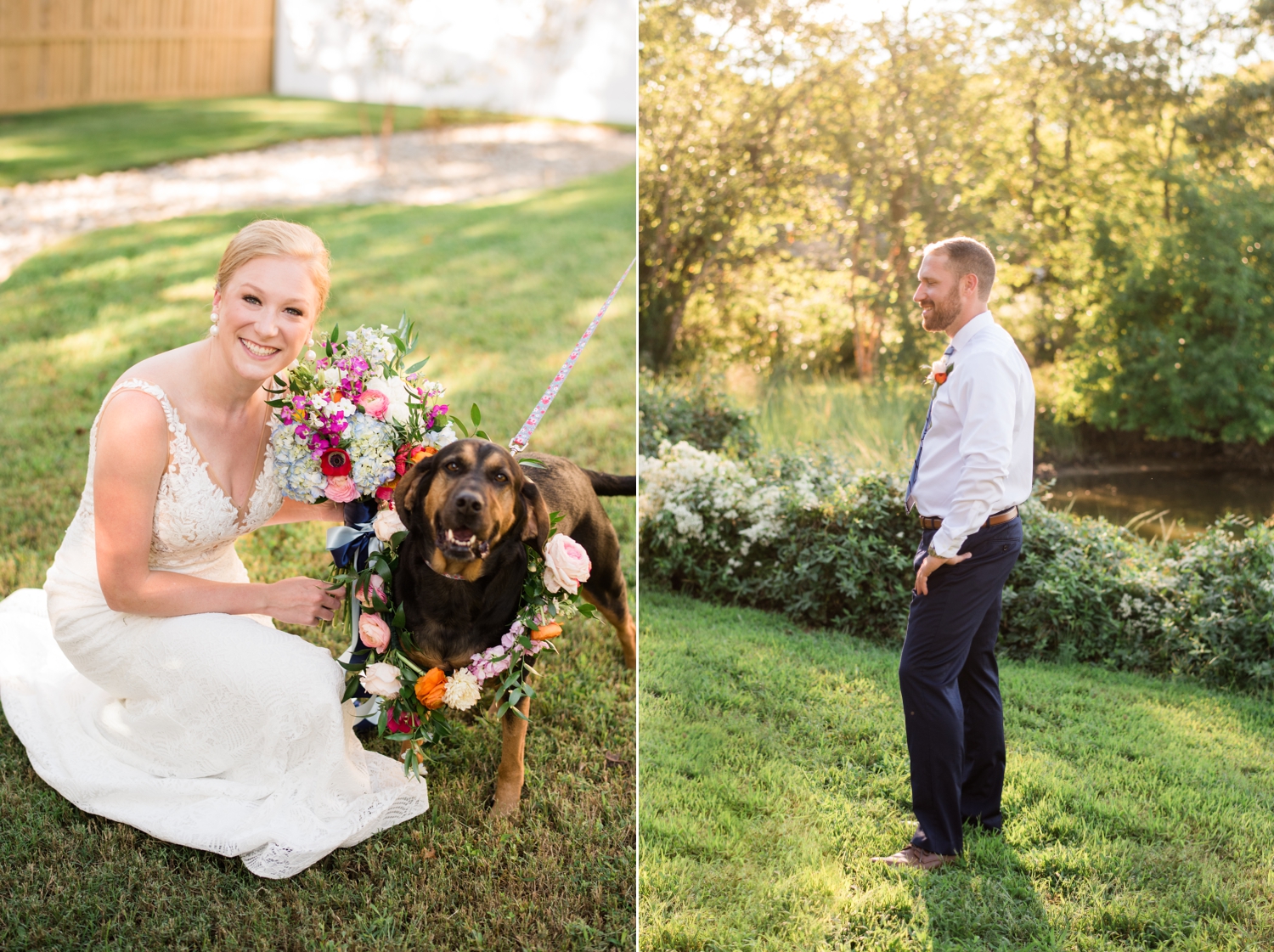 Couple's Dog at a micro wedding