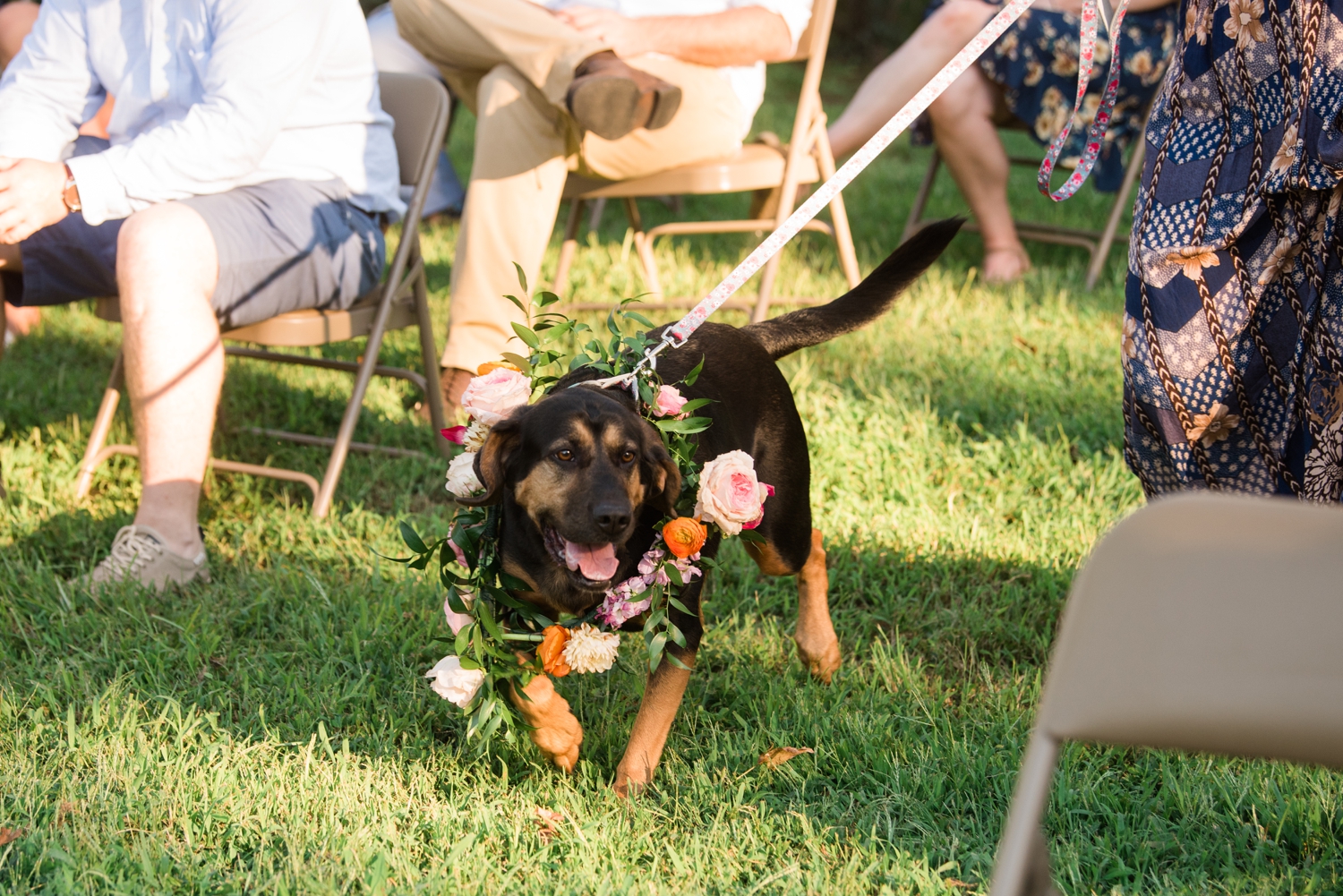 Southern Maryland Neighborhood Waterfront Micro Wedding ceremony