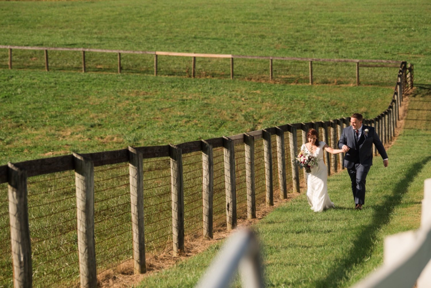 Tusculum Farm micro wedding llama alpaca photos